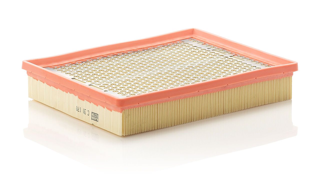 Mann Air Filter C 30 170
