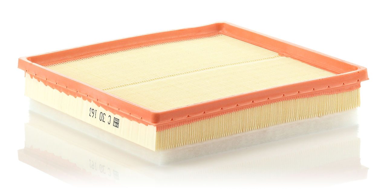 Mann Air Filter C 30 163
