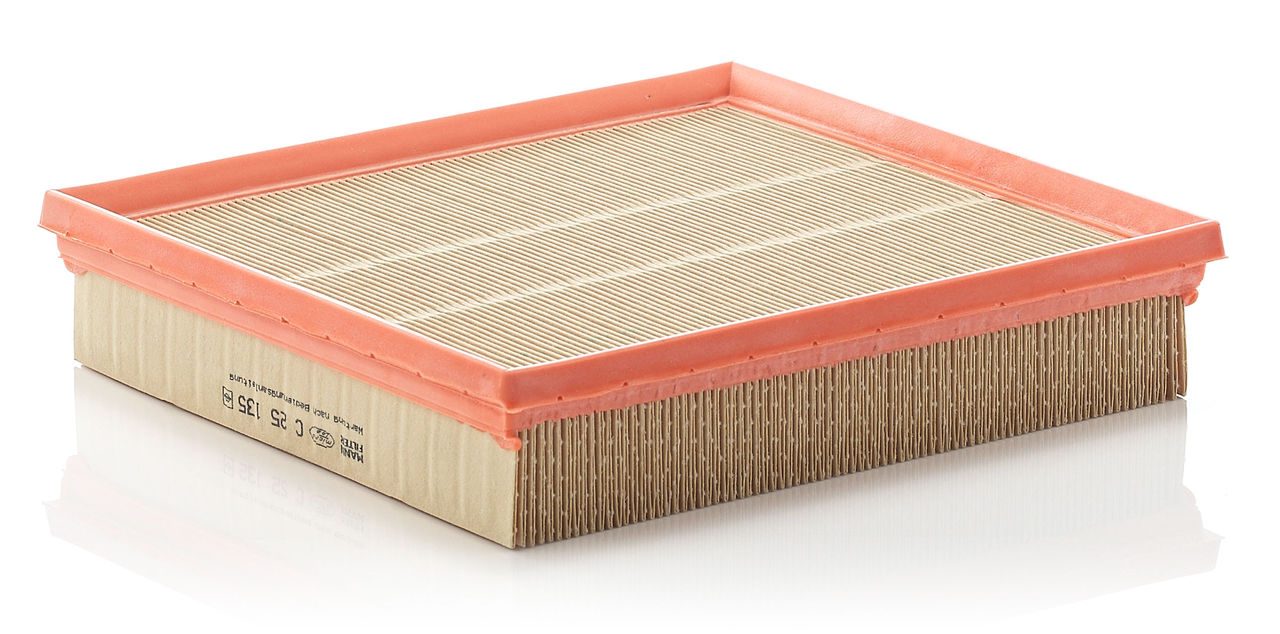 Mann Air Filter C 25 135