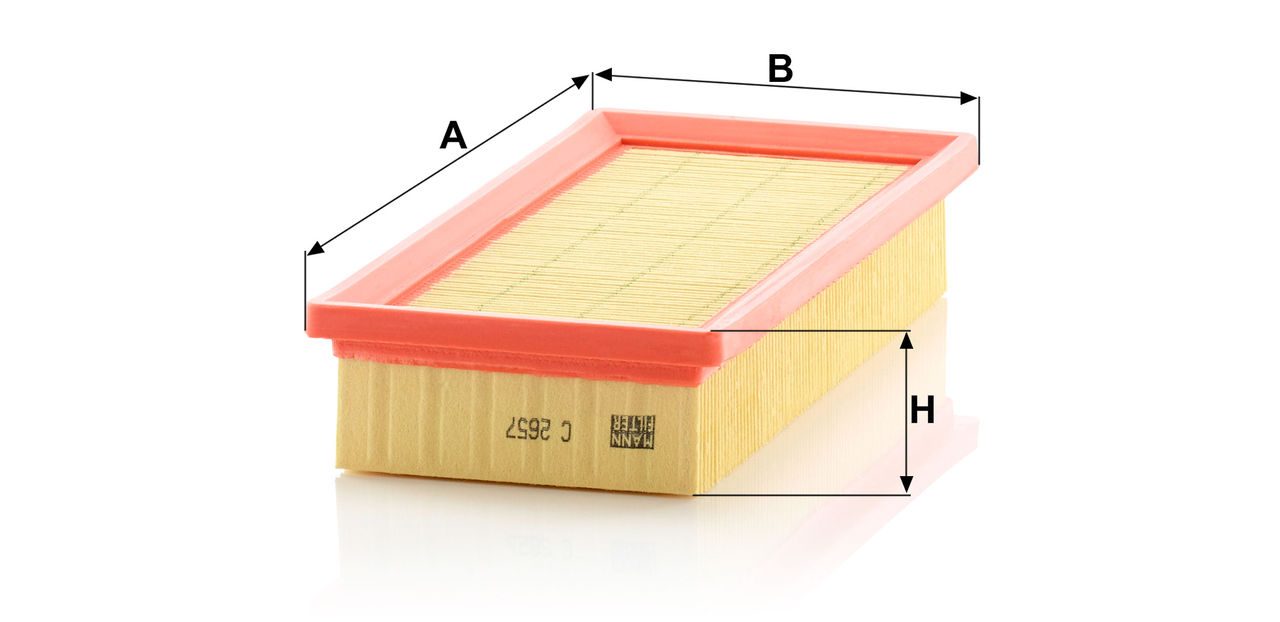 Mann Air Filter C 2657