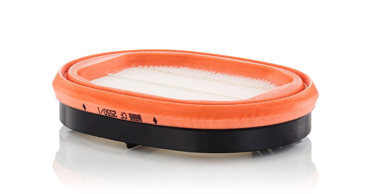 Mann Secondary element Filter CF 2550/1