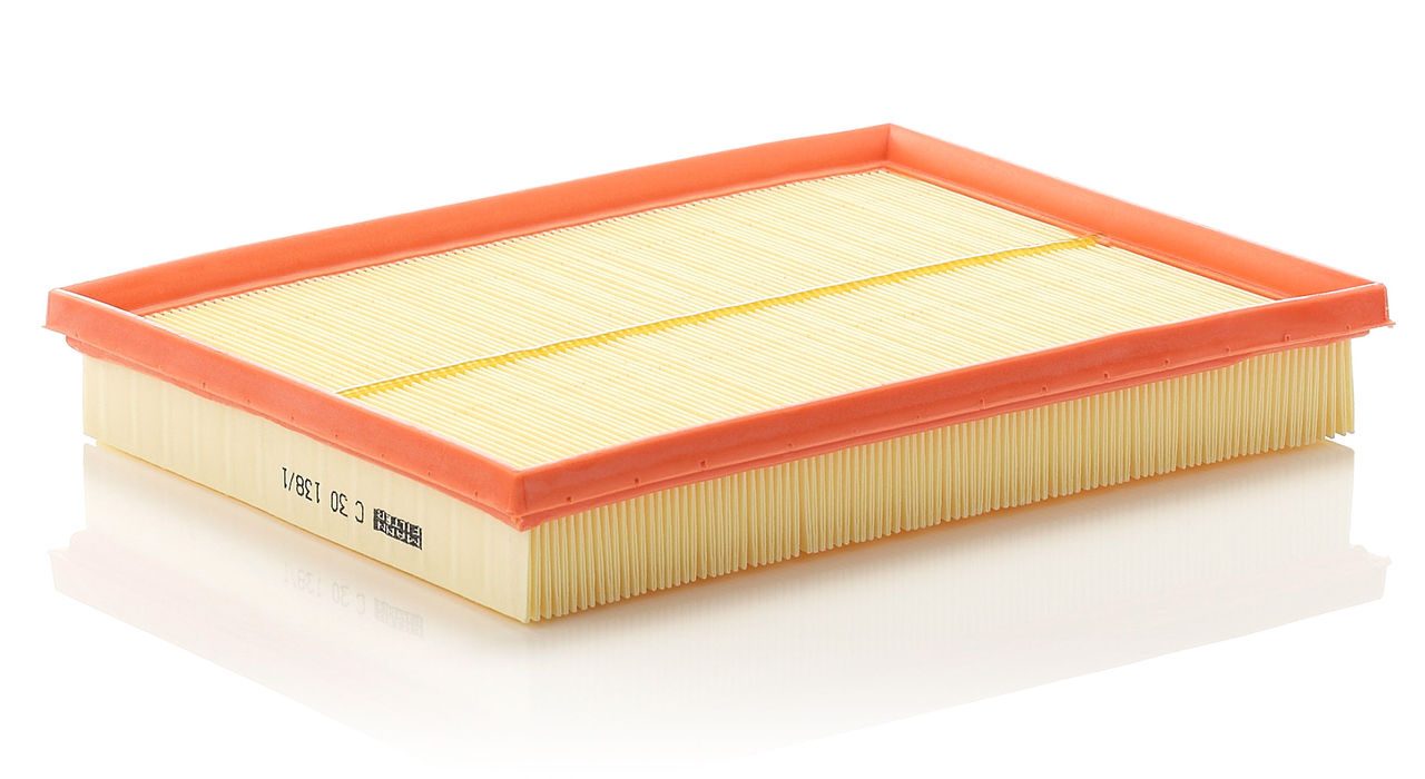 Mann Air Filter C 30 138/1