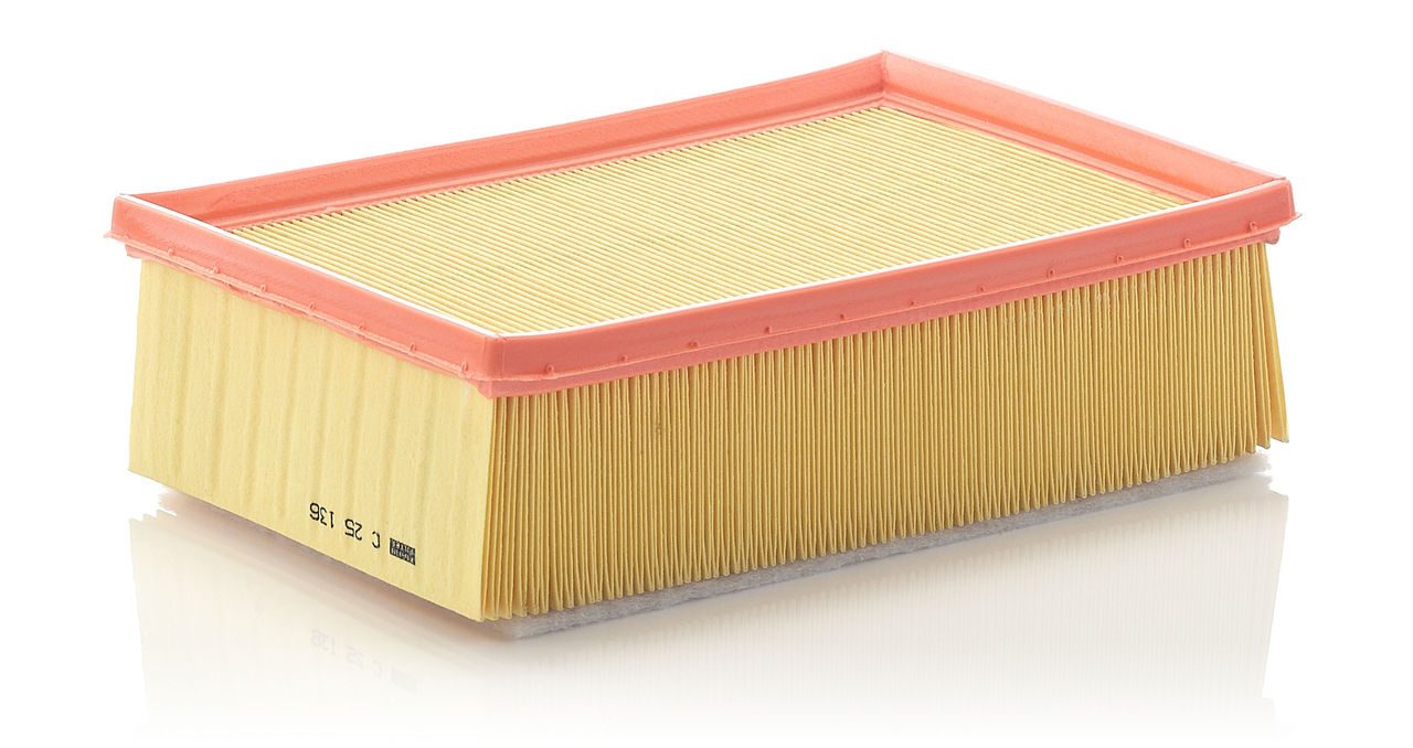 Mann Air Filter C 25 136