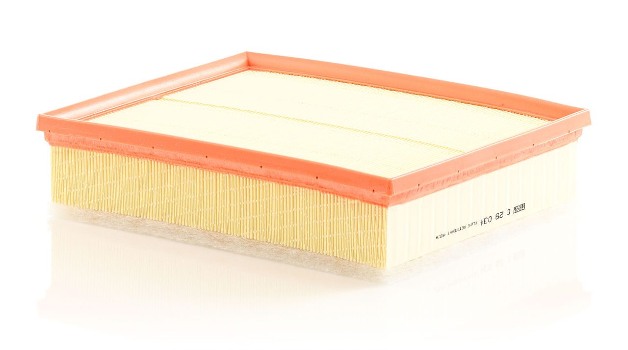 Mann Air Filter C 29 034