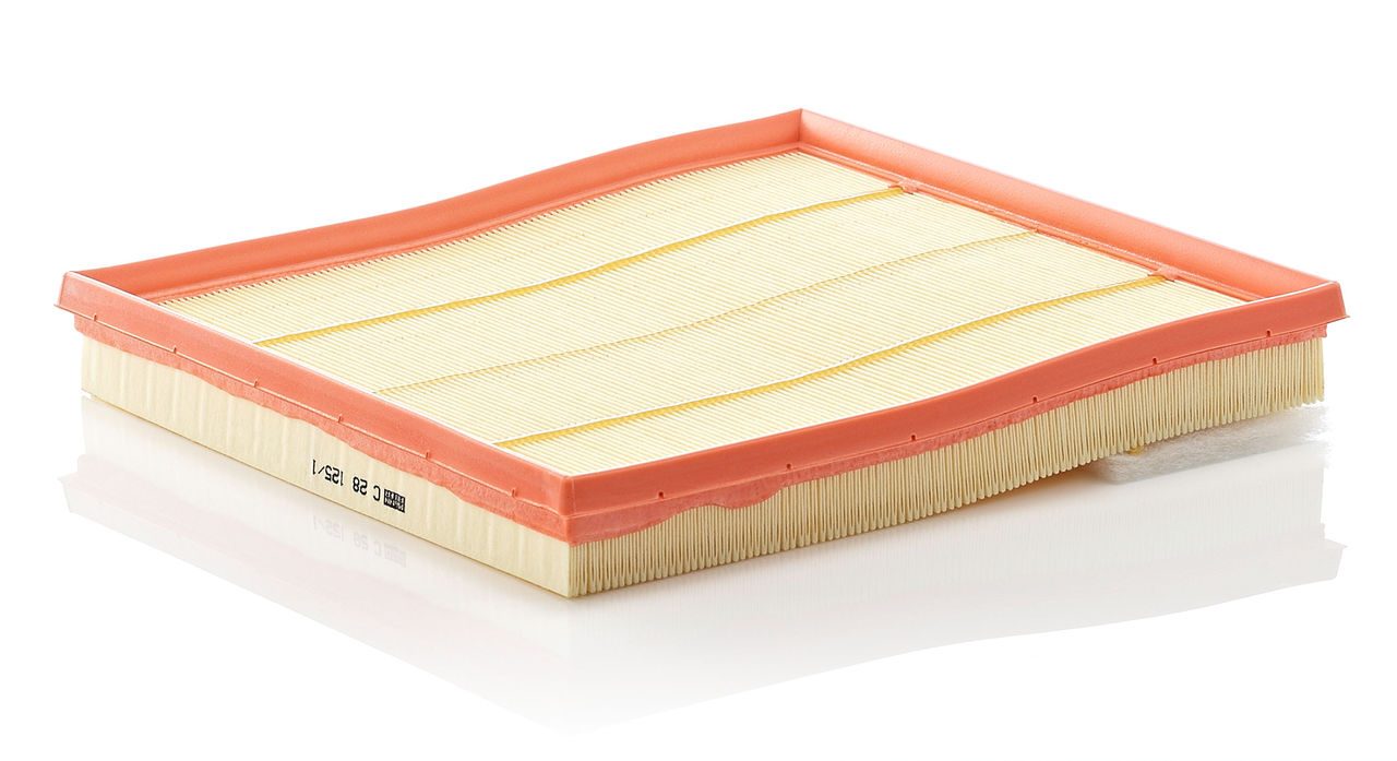 Mann Air Filter C 28 125/1