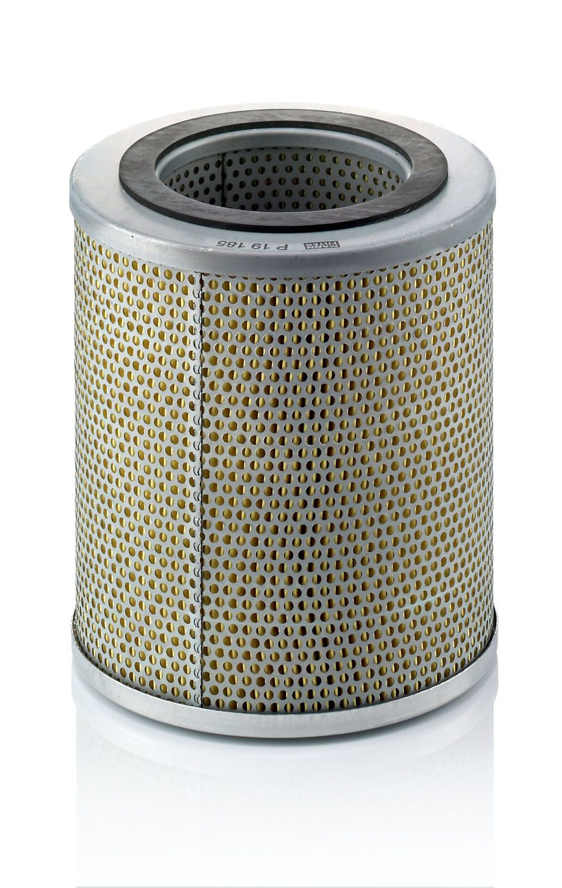 Mann Fuel Filter P 19 185