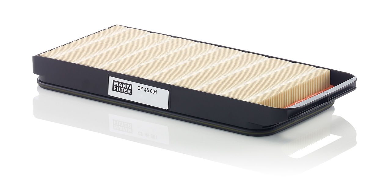 Mann Secondary Element Filter CF 45 001