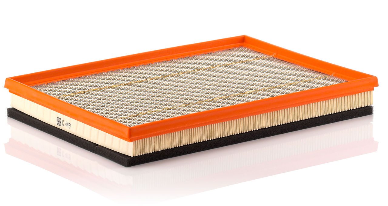 Mann Air Filter C 4019