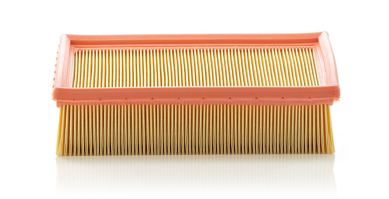 Mann Air Filter C 24 105