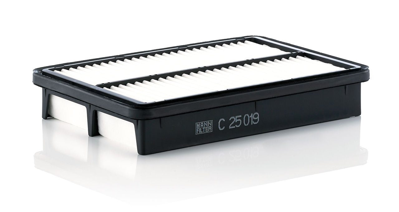 Mann Air Filter C 25 019