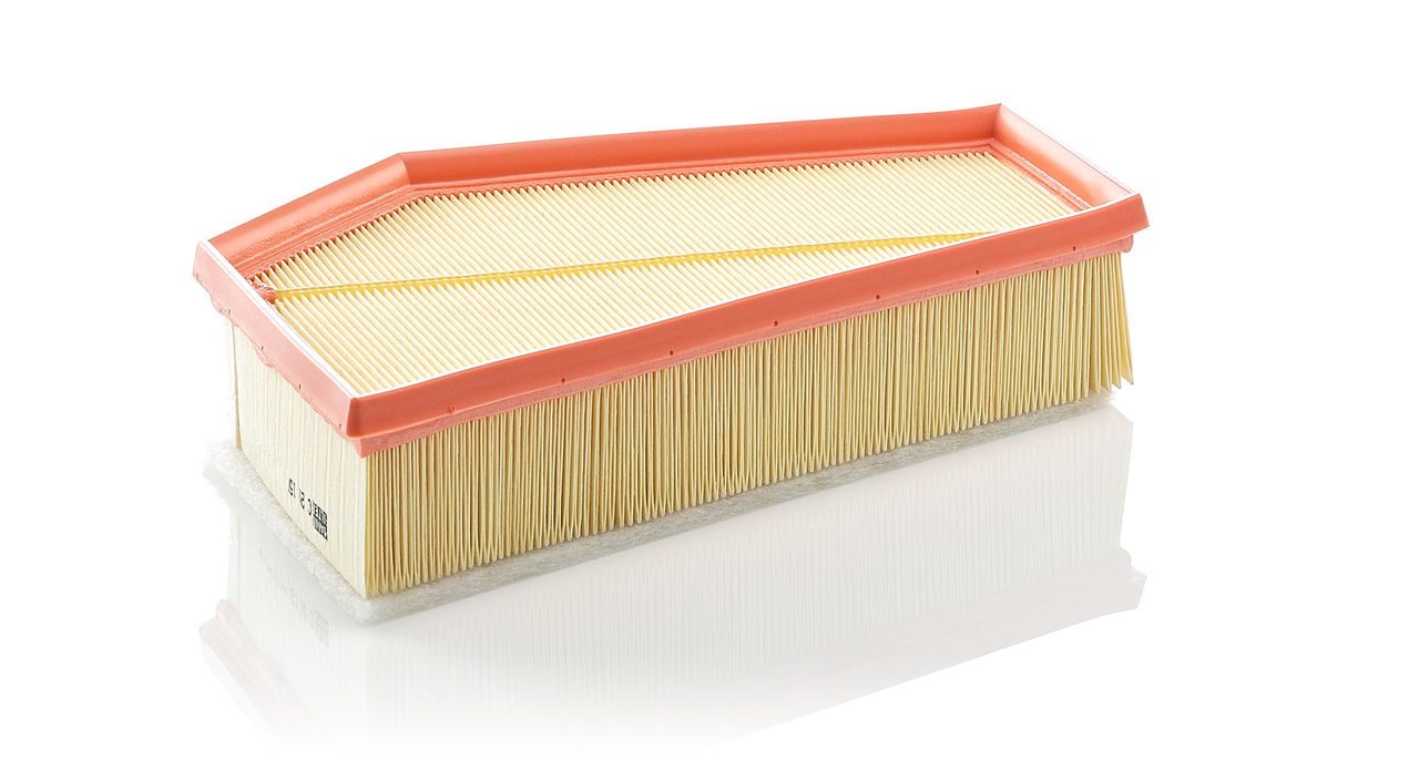 Mann Air Filter C 29 150