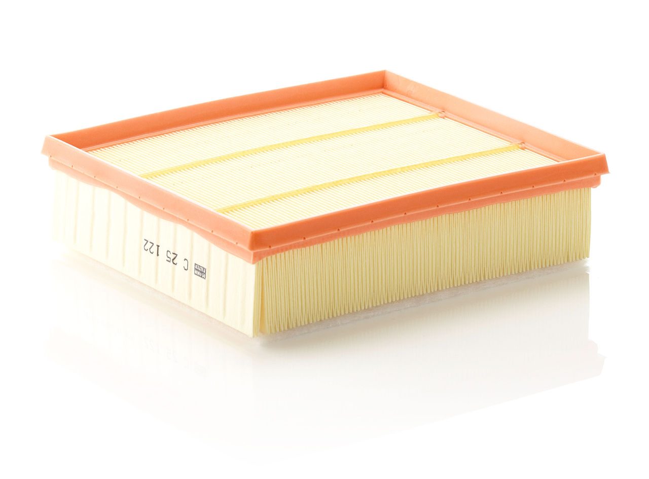 Mann Air Filter C 25 122
