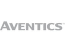 Aventics 822006203 Tie Rod Cylinder