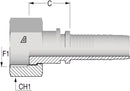 1/2" BSP Flat/Faced Female x 1/2 Hose